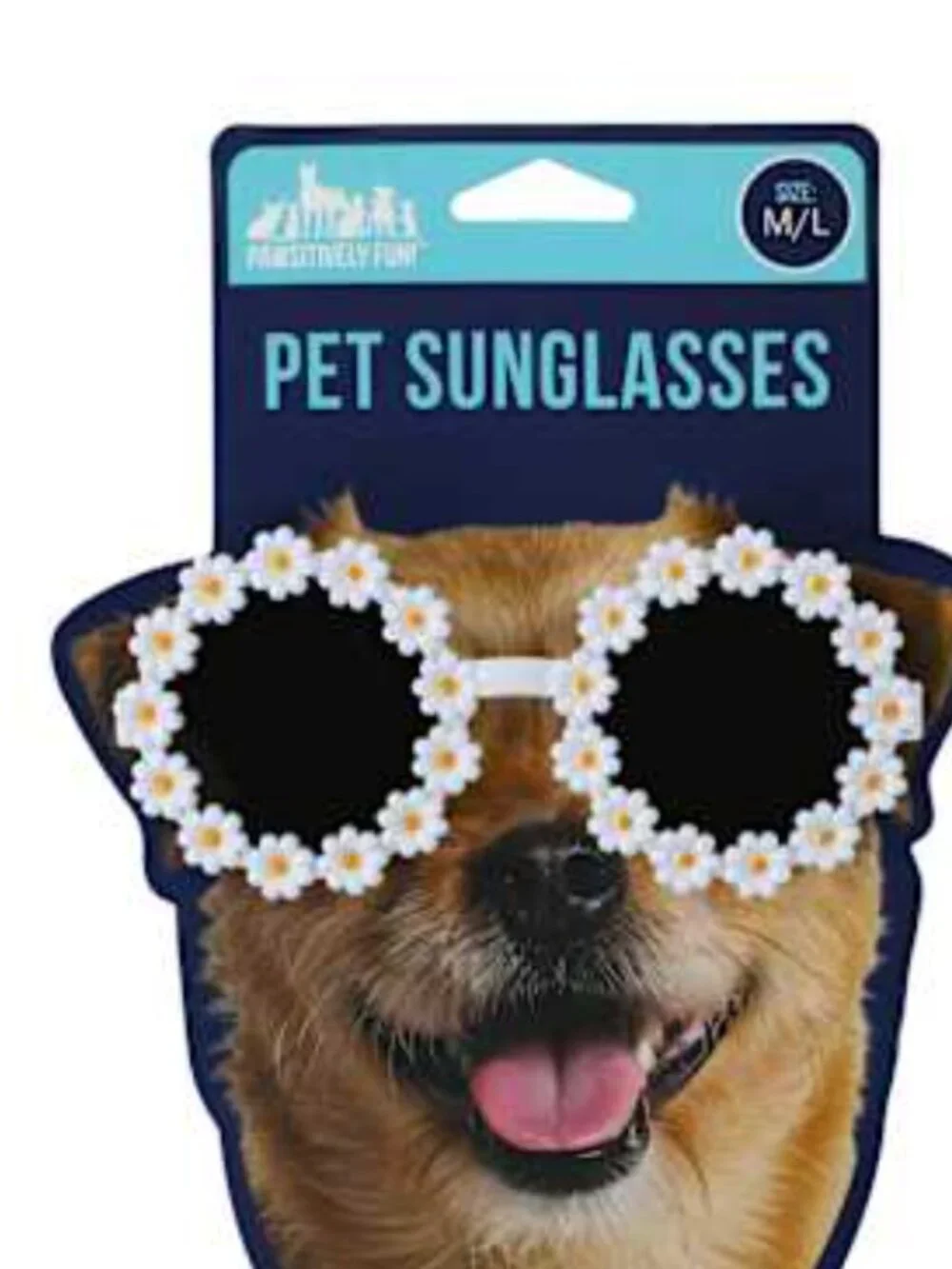 Dog Pet Daisy Sunglasses (New without Tags)